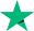 trustpilot_icon